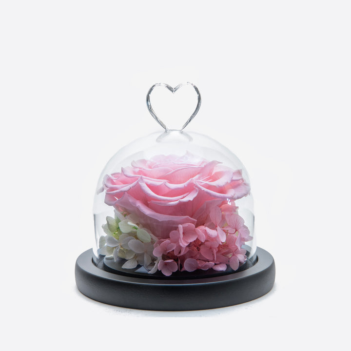 Heart Glass Dome Blush Rose