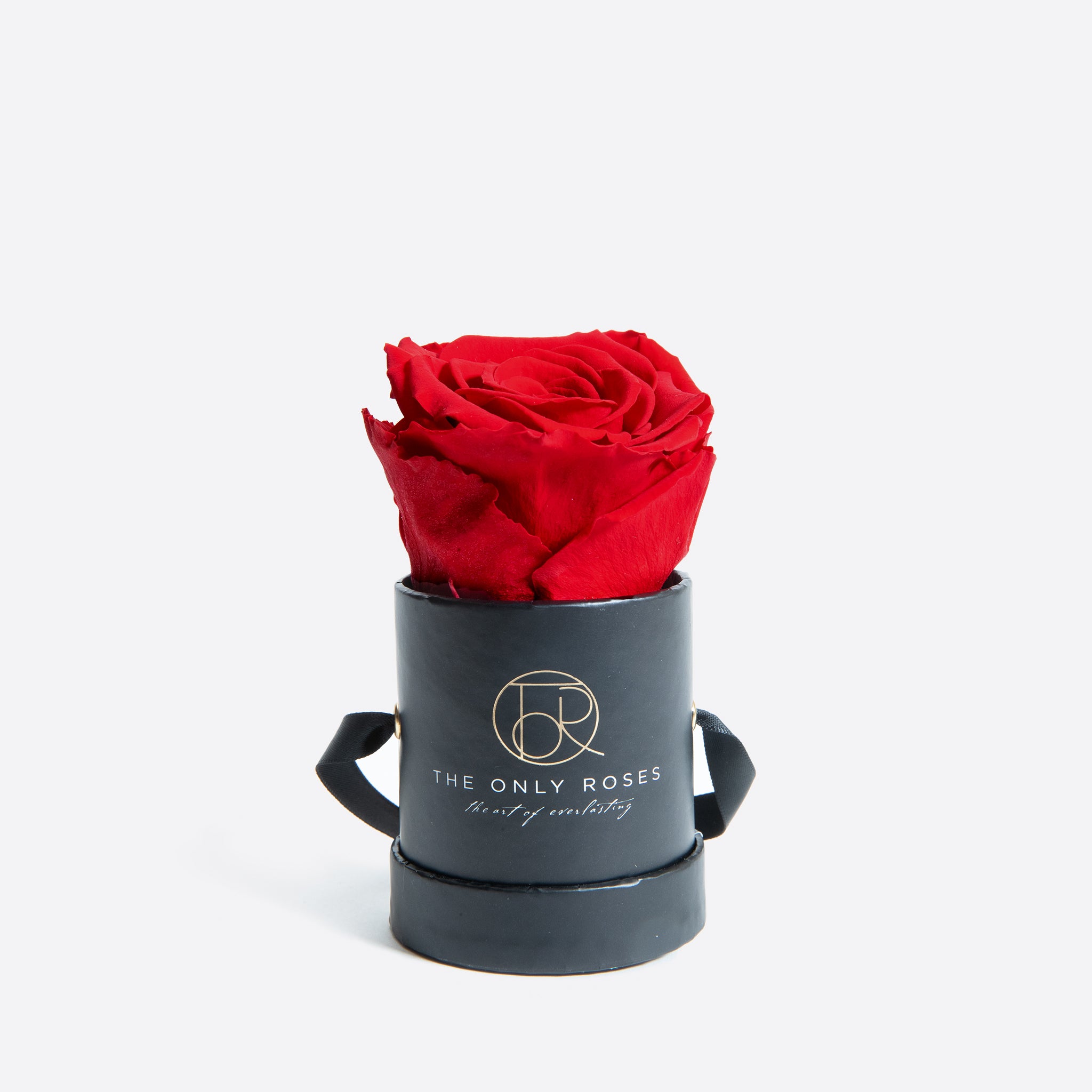 Petite Round Black Hat Box with Single Red Everlasting Preserved Rose | The Only Roses