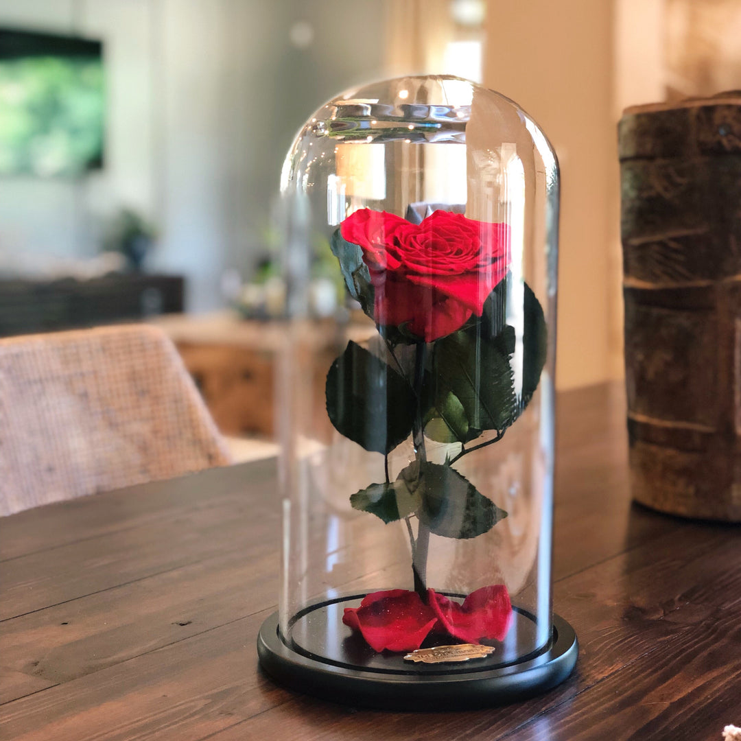 Beauty and The Beast Roses