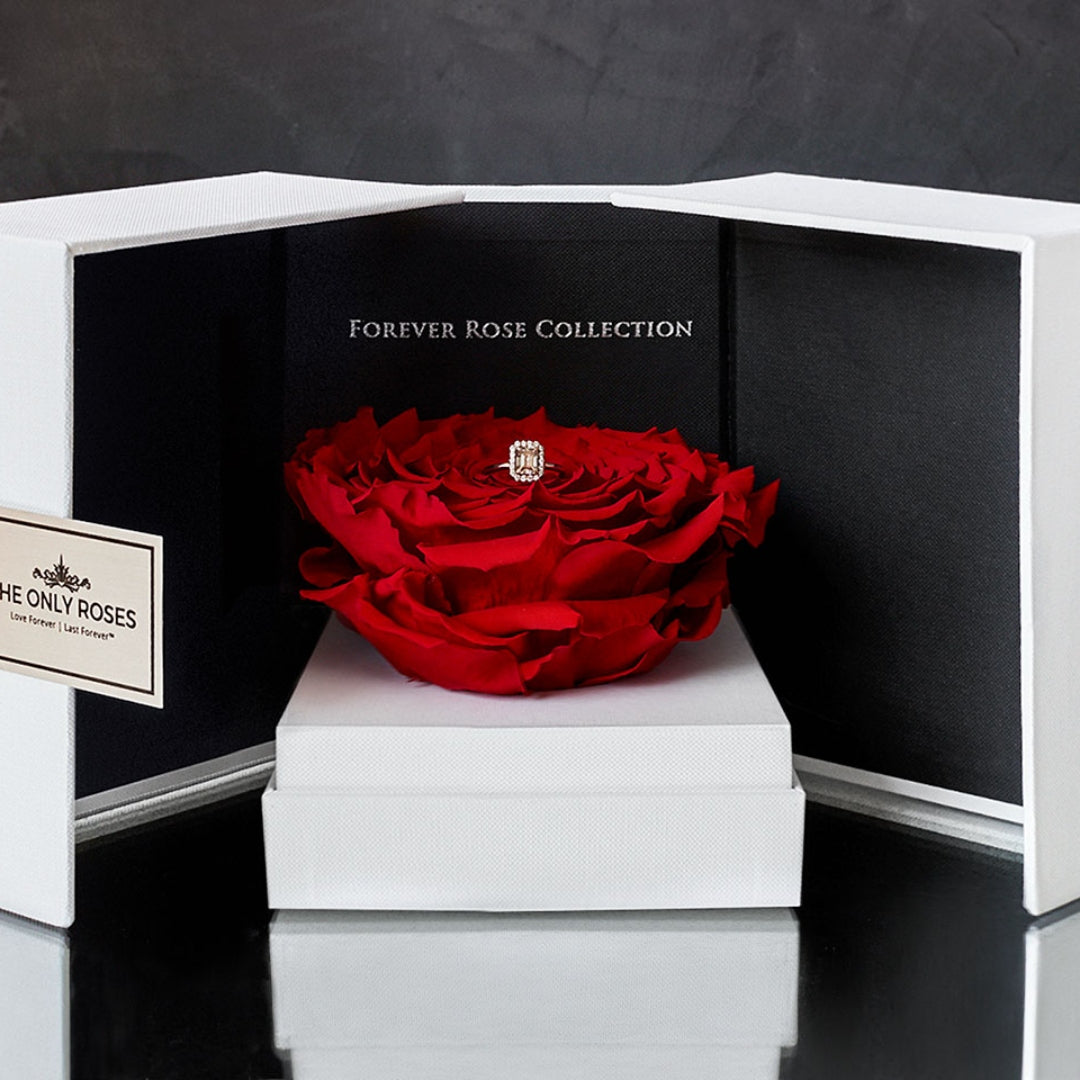 Red rose swing opening box holding a wedding ring