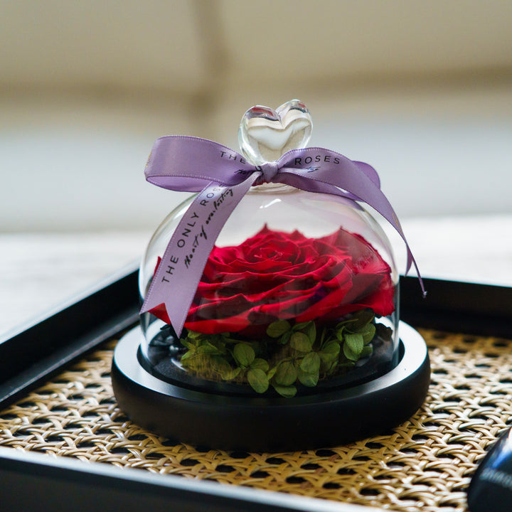 Red Everlasting Eternity Rose in Glass Dome with Heart Shaped Handle Valentine's Day Gift by The Only Roses