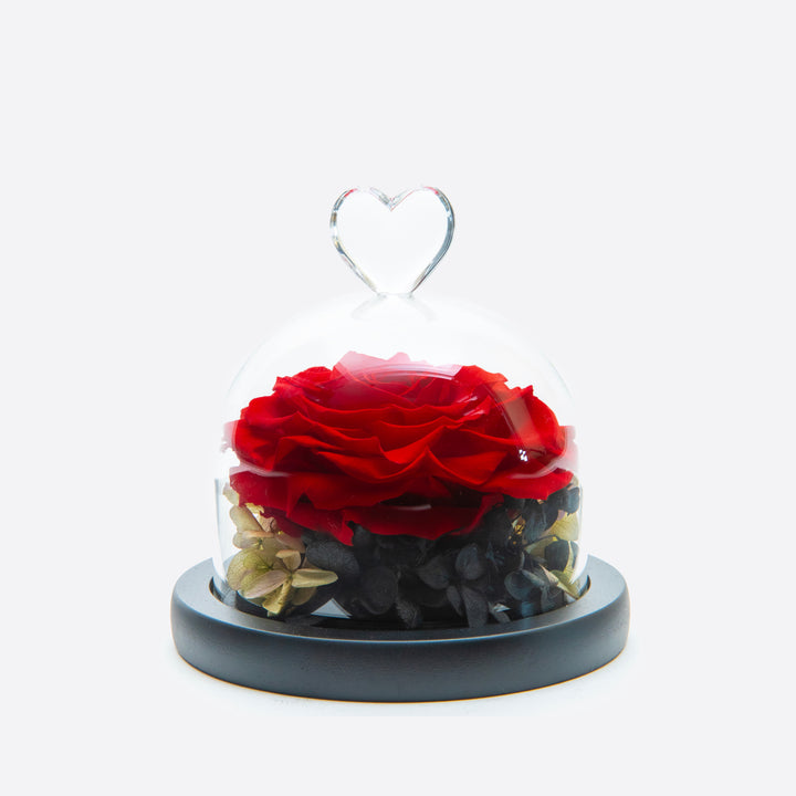 Heart Glass Dome Red Rose