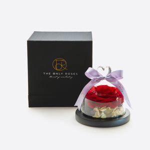 Heart Glass Dome Red Rose