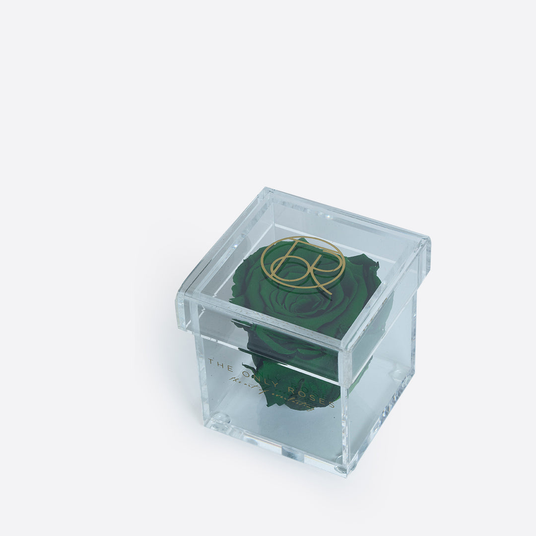 Petite Square Jewelry Box