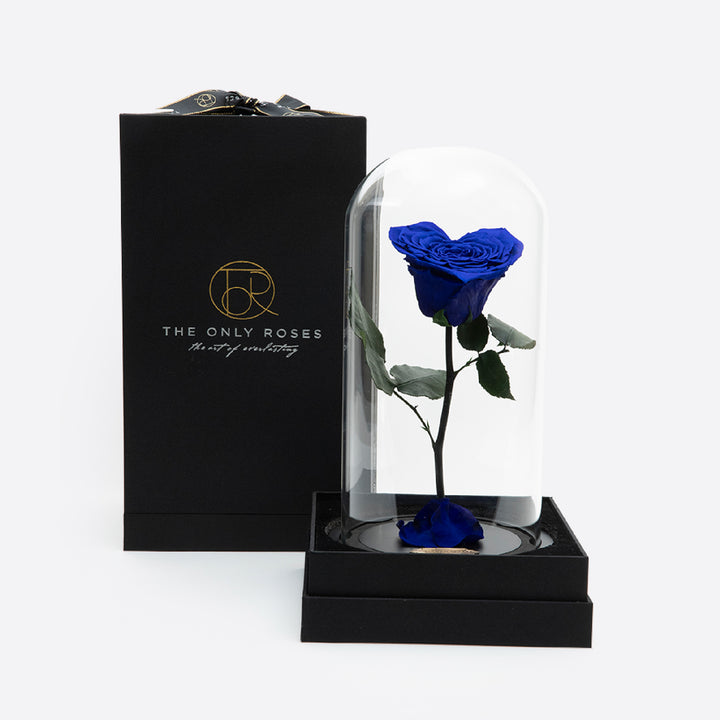 Beauty and The Beast Heart Rose