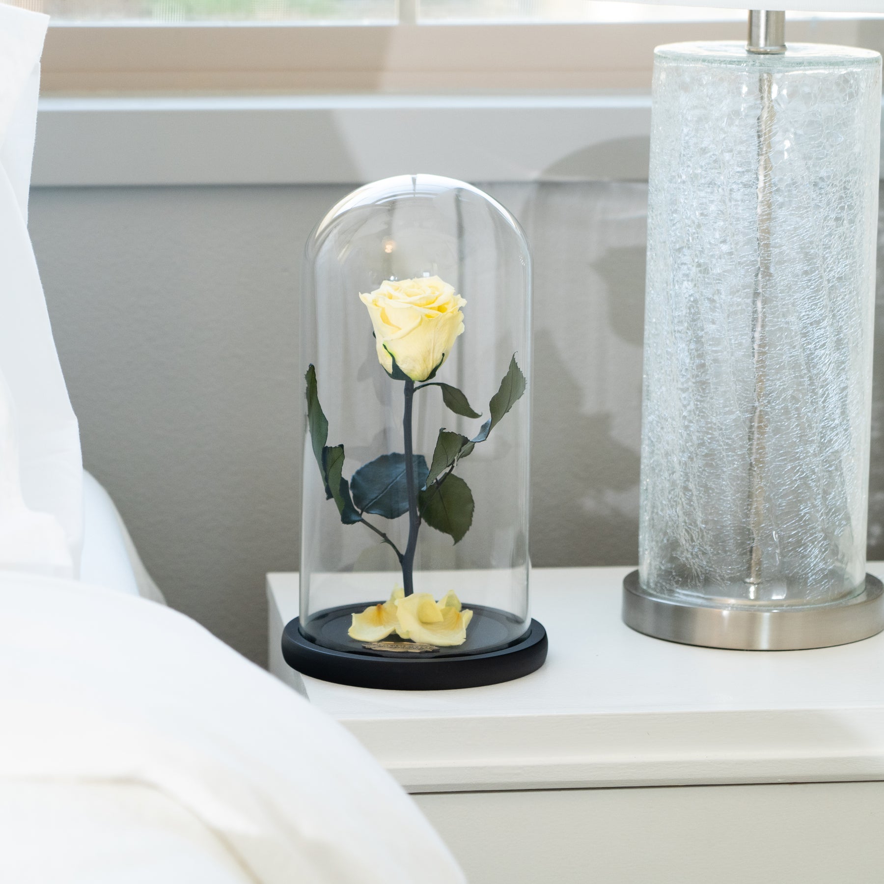 Beauty and The Beast Enchanted Rose in Glass Dome Real