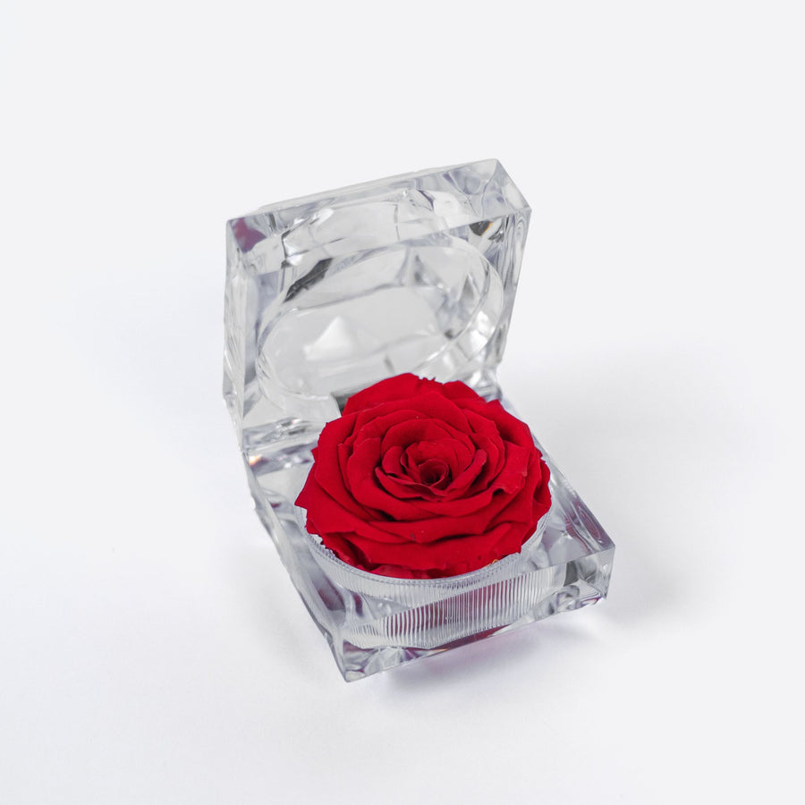 Realy Roses The Only Roses® | Real Flower That Last 3 to 5 Years – TheOnlyRoses