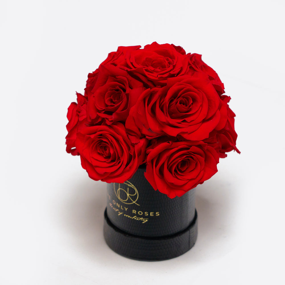 The Only Roses®  Real Flower That Last 3 to 5 Years – TheOnlyRoses