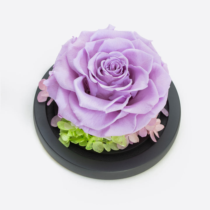 Heart Glass Dome Lilac Rose