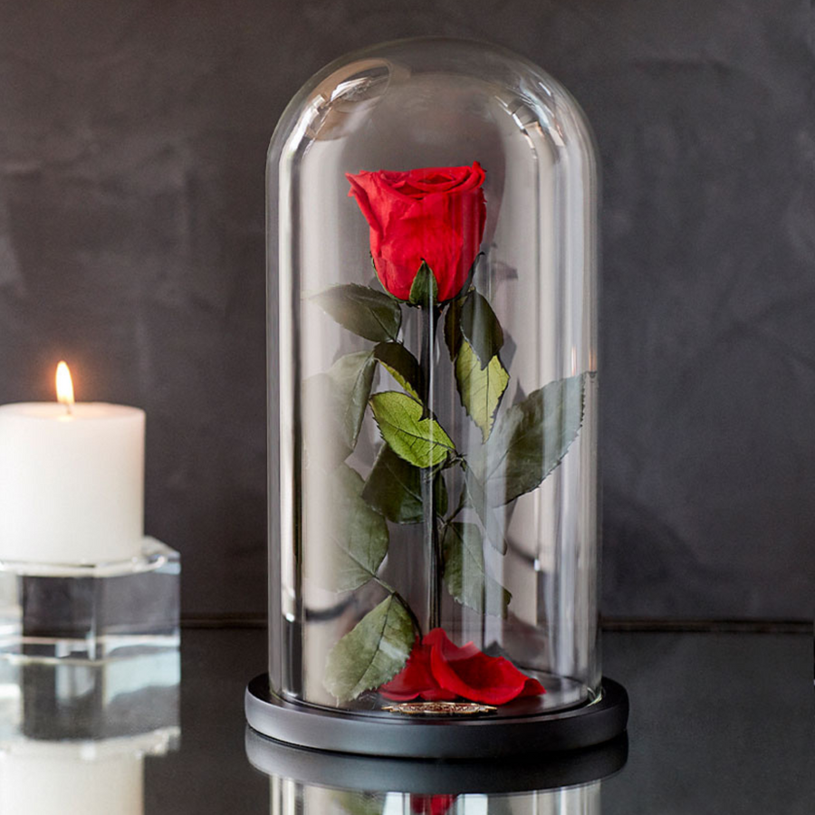 Beauty and The Beast Enchanted Rose in Glass Dome Real
