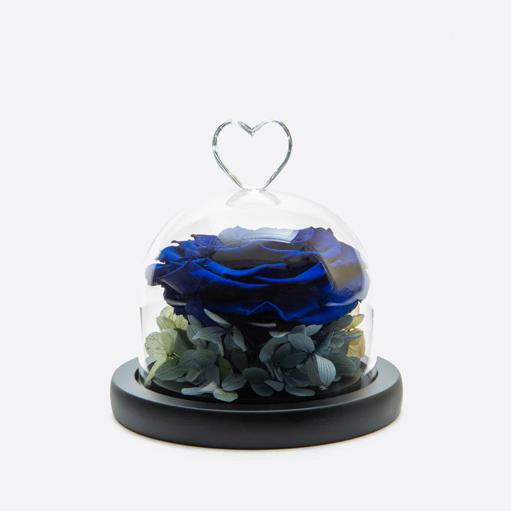 Heart Glass Dome Royal Blue Rose