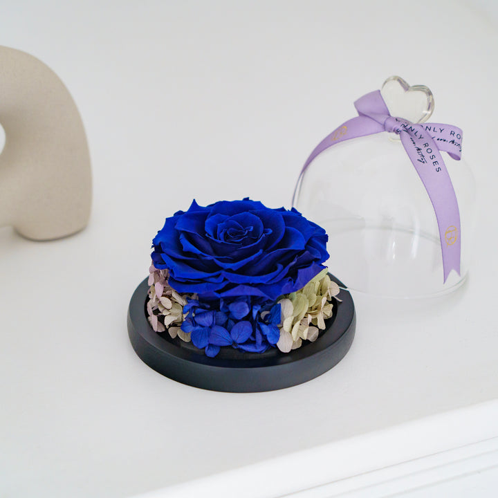 Heart Glass Dome Royal Blue Rose