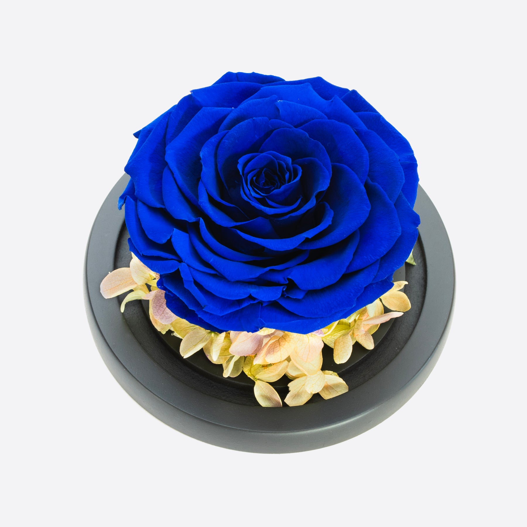 Royal Blue Roses Heart Heart Glass Dome Royal Blue Rose – TheOnlyRoses