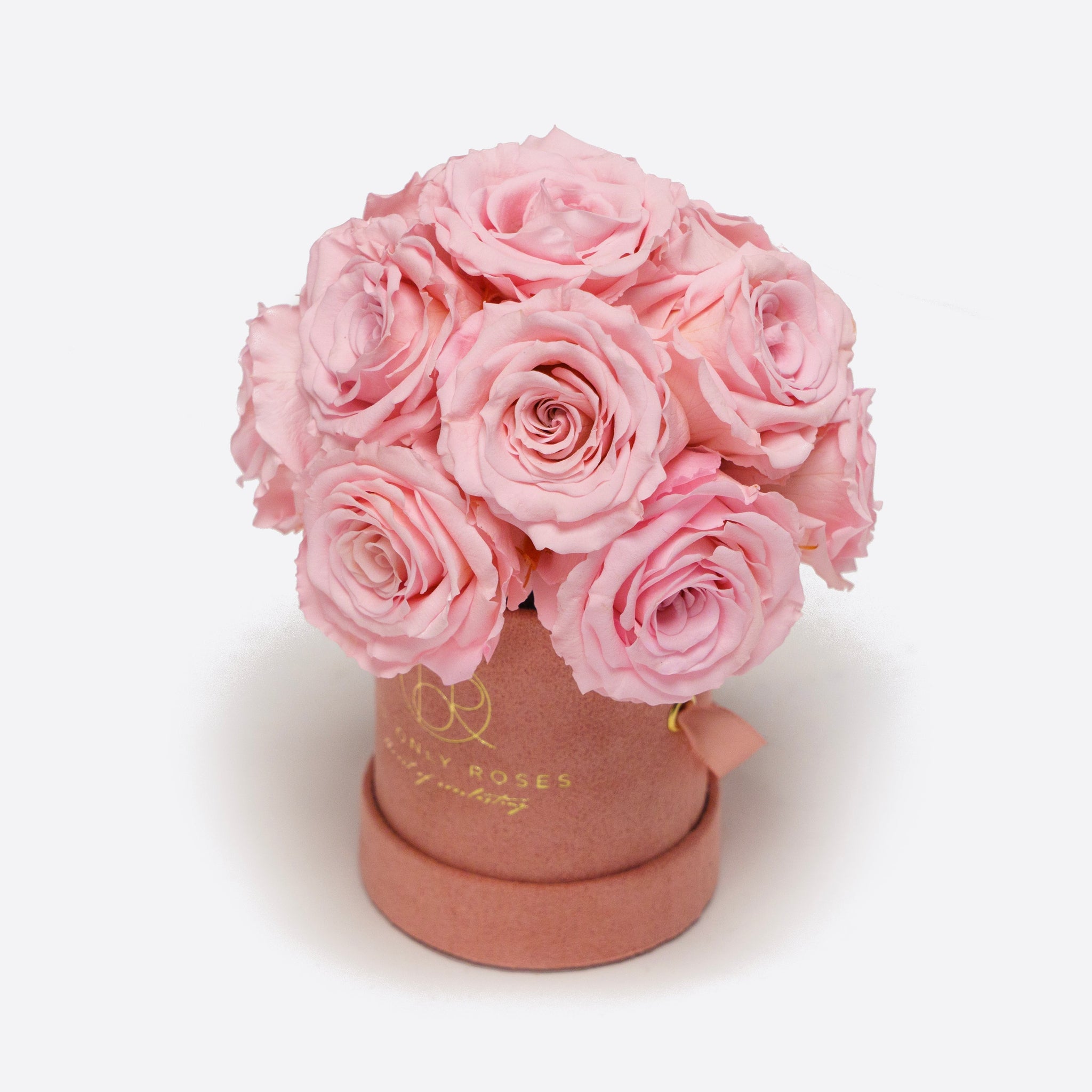 Pink Suede Petite Round Hat Box Rose Dome