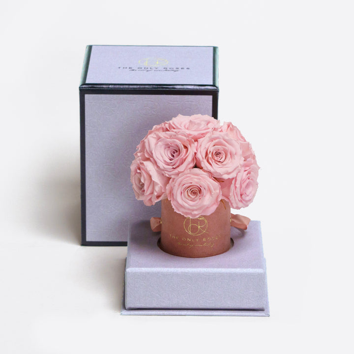 Pink Suede Petite Round Hat Box Rose Dome