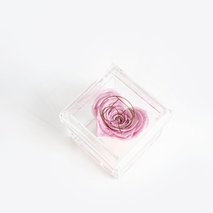 Heart Shaped Rose in Petite Square Jewelry Box