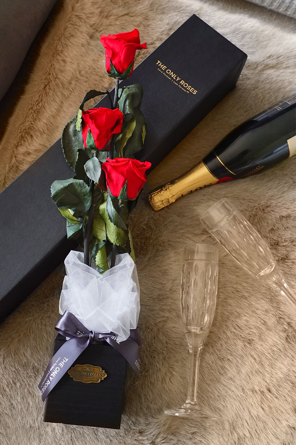 Everlasting Roses – TheOnlyRoses