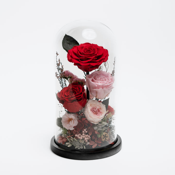 Tall Glass Dome Red Everlasting Flower Mixed Floral