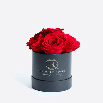 Shop All – TheOnlyRoses
