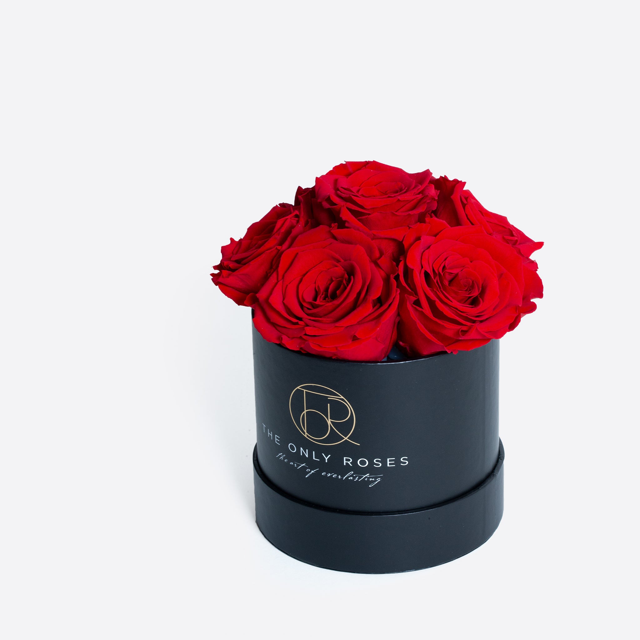 Small Round Black Hat Box with Half Dozen Red Everlasting Preserved Roses | The Only Roses