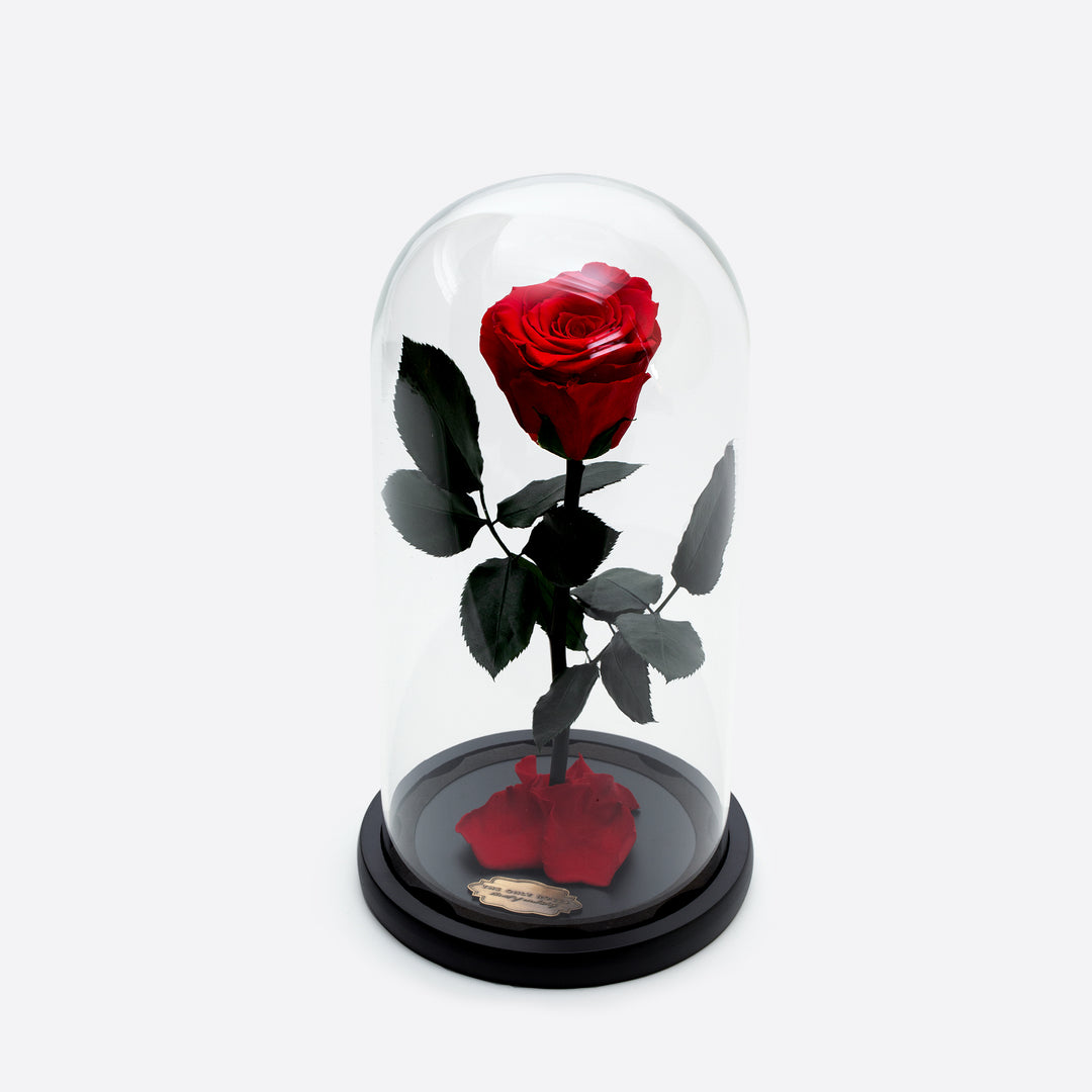 Red Preserved Rose Beauty and The Beast Glass Dome