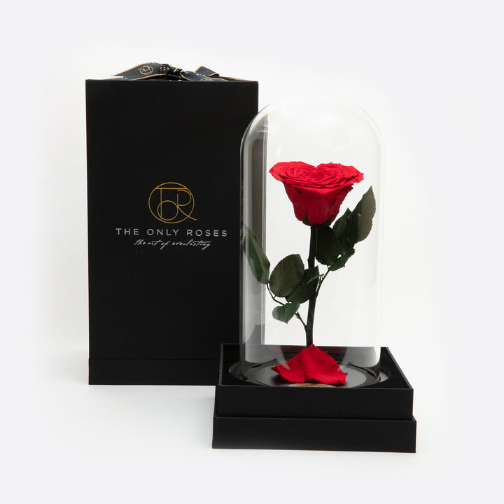 The Only Roses® | Real Flower That Last 3 to 5 Years – TheOnlyRoses