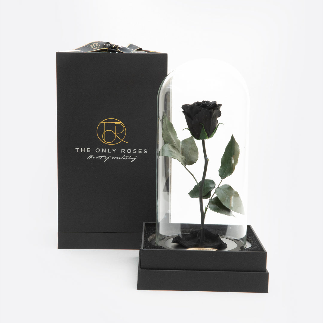 Black Preserved Rose Beauty and The Beast Glass Dome – TheOnlyRoses