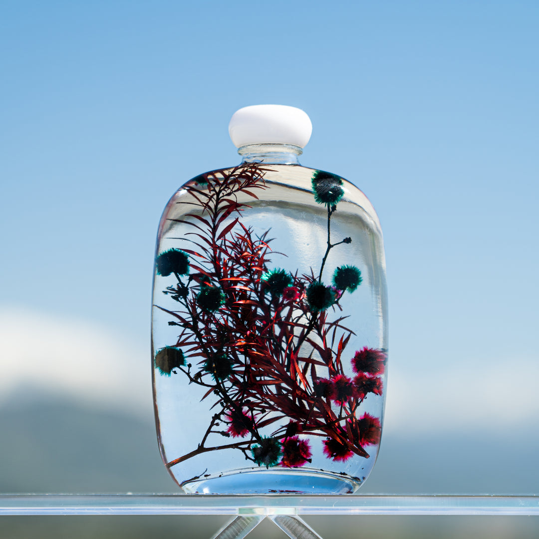 Japanese Herbarium Flower Bottles - Alice Style Elegance Preserved Flower in Oil