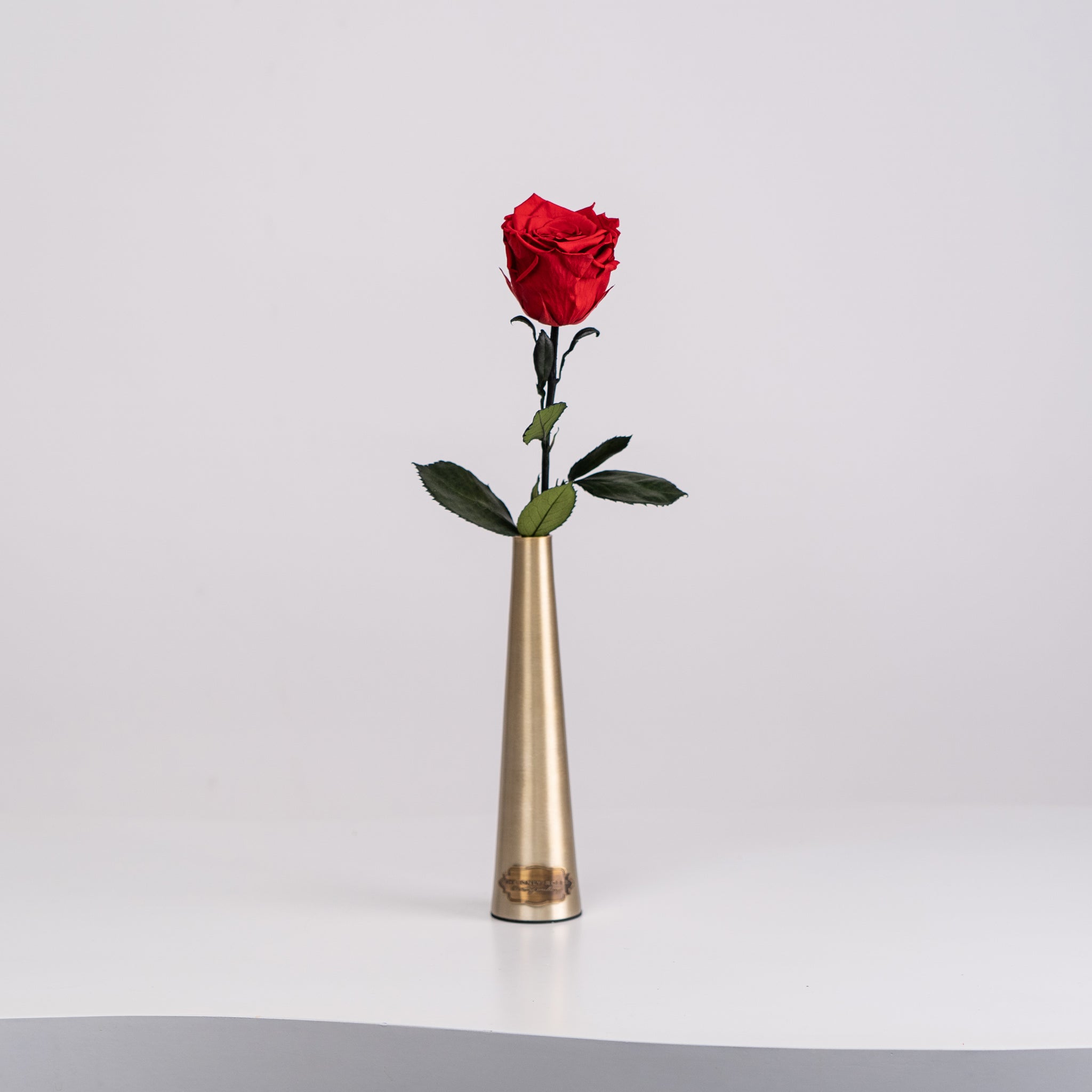 Metallic Vase with Everlasting Roses