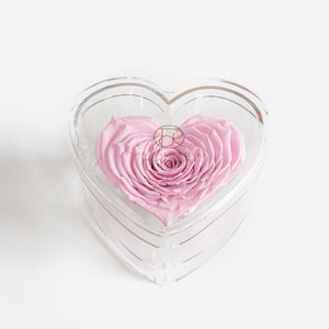 Heart Shaped Rose in Heart Jewelry Box
