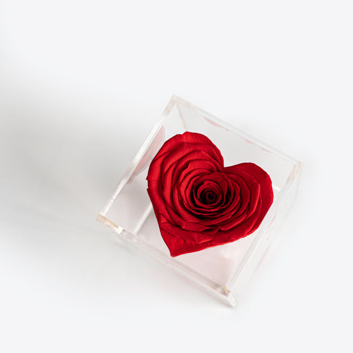 Heart Shaped Rose in Petite Square Jewelry Box