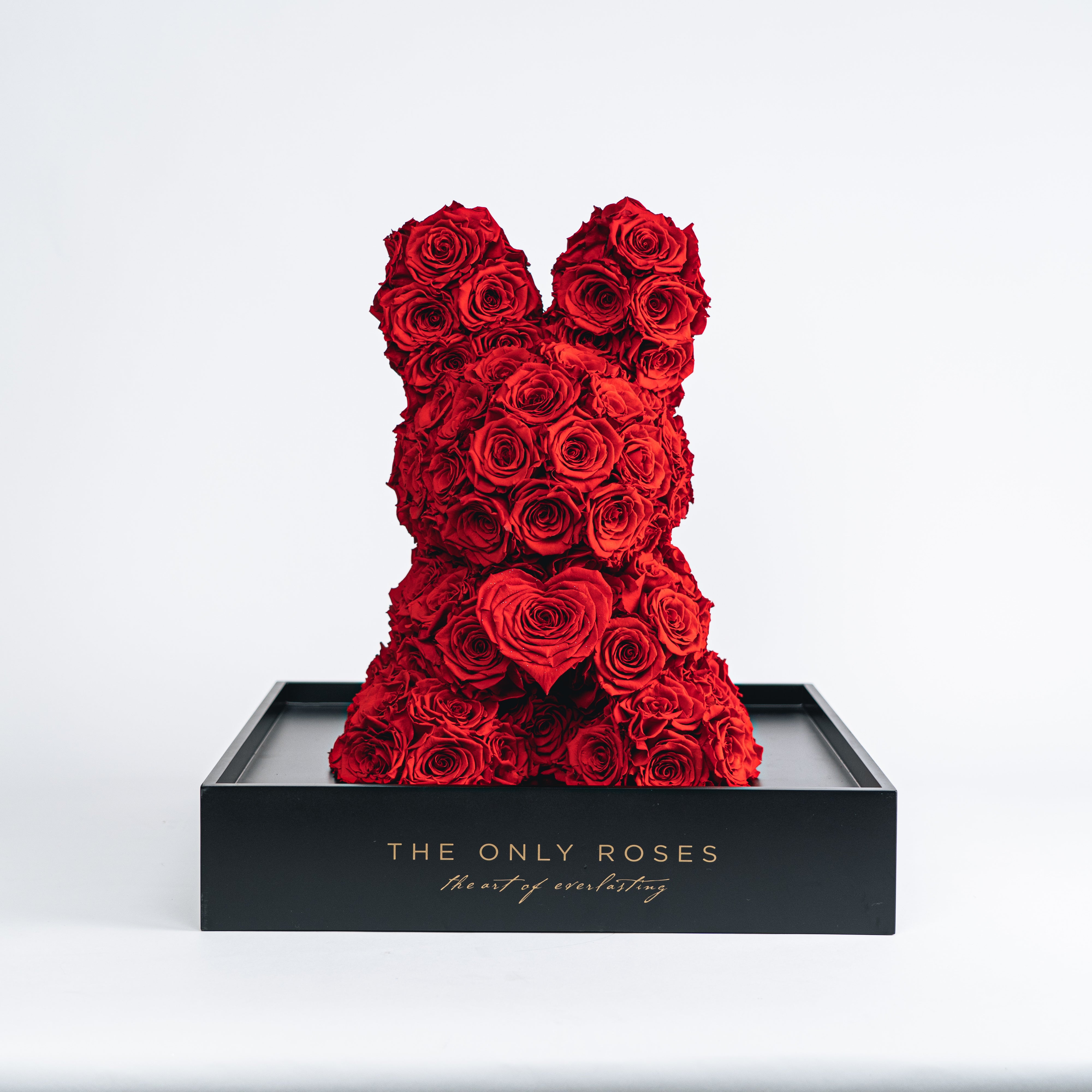 Rose Rabbit – TheOnlyRoses