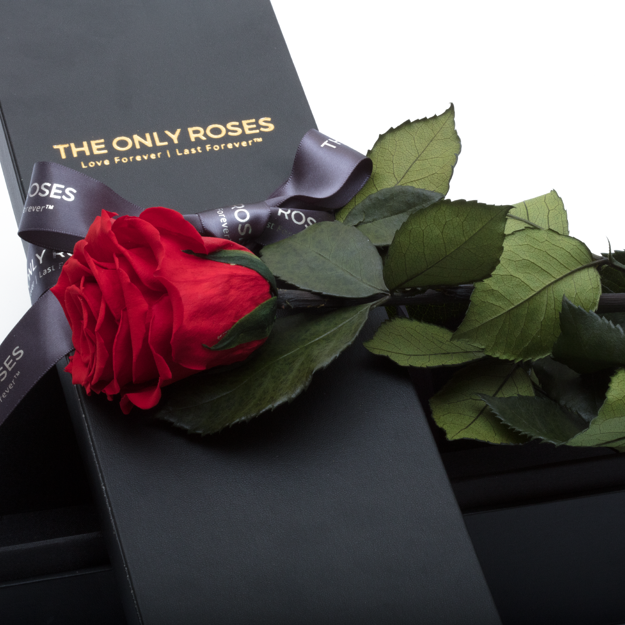 Long Stem Luxury Roses In A Box, Roses That Last A Year