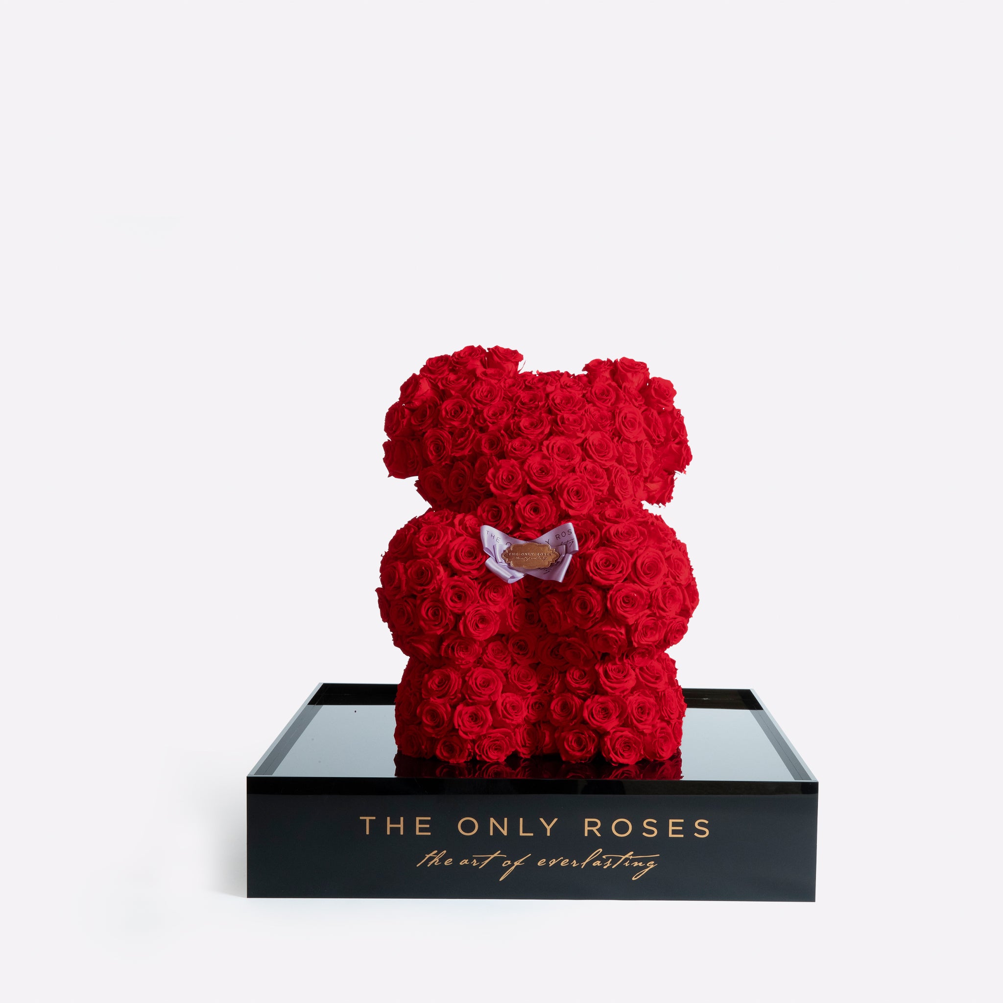 the only roses bear